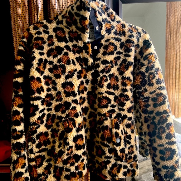 Teddy jacket - Picture 6 of 6